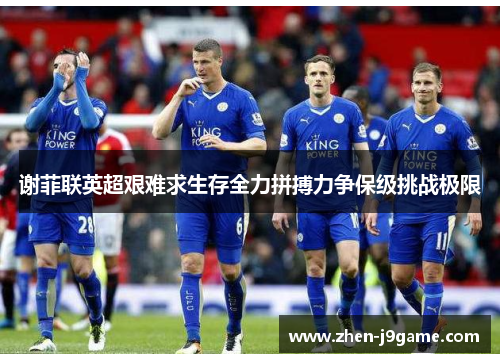 谢菲联英超艰难求生存全力拼搏力争保级挑战极限