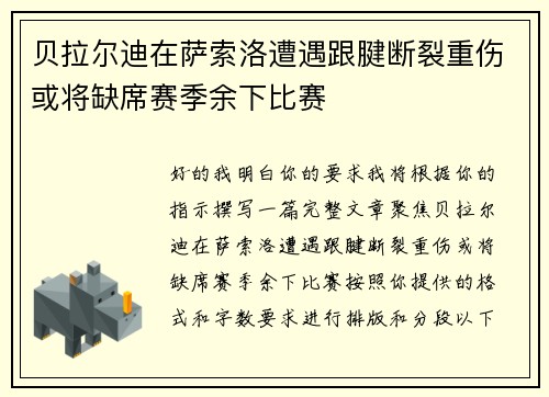 贝拉尔迪在萨索洛遭遇跟腱断裂重伤或将缺席赛季余下比赛